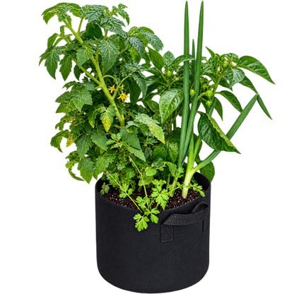 Grow a self contained salsa garden with Farming the Future in a black fabric grow bag planter which holds a mixed garden of green plants, including a tomato plant, pepper plant, and onion.