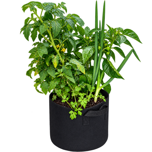 Grow a self contained salsa garden with Farming the Future in a black fabric grow bag planter which holds a mixed garden of green plants, including a tomato plant, pepper plant, and onion.