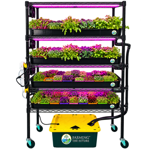 Classroom Hydroponics System - STEM Grow Rack