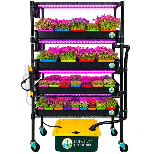 A black multi-tier hydroponic microgreen grower cart with built-in LED grow lights emitting pink light, filled with trays of microgreens, and connected to a yellow and green Farming the Future water reservoir on wheels.