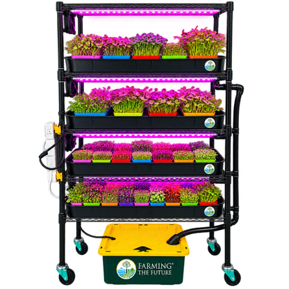 A black multi-tier hydroponic microgreen grower cart with built-in LED grow lights emitting pink light, filled with trays of microgreens, and connected to a yellow and green Farming the Future water reservoir on wheels.