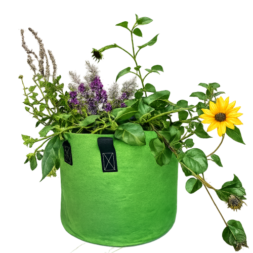 Grow a self contained Pollinator garden with Farming the Future in a fabric grow bag planter which holds a mixed garden of flowersing plants including Borage, fennel, sunflower, cilantro, and Anise Hyssop