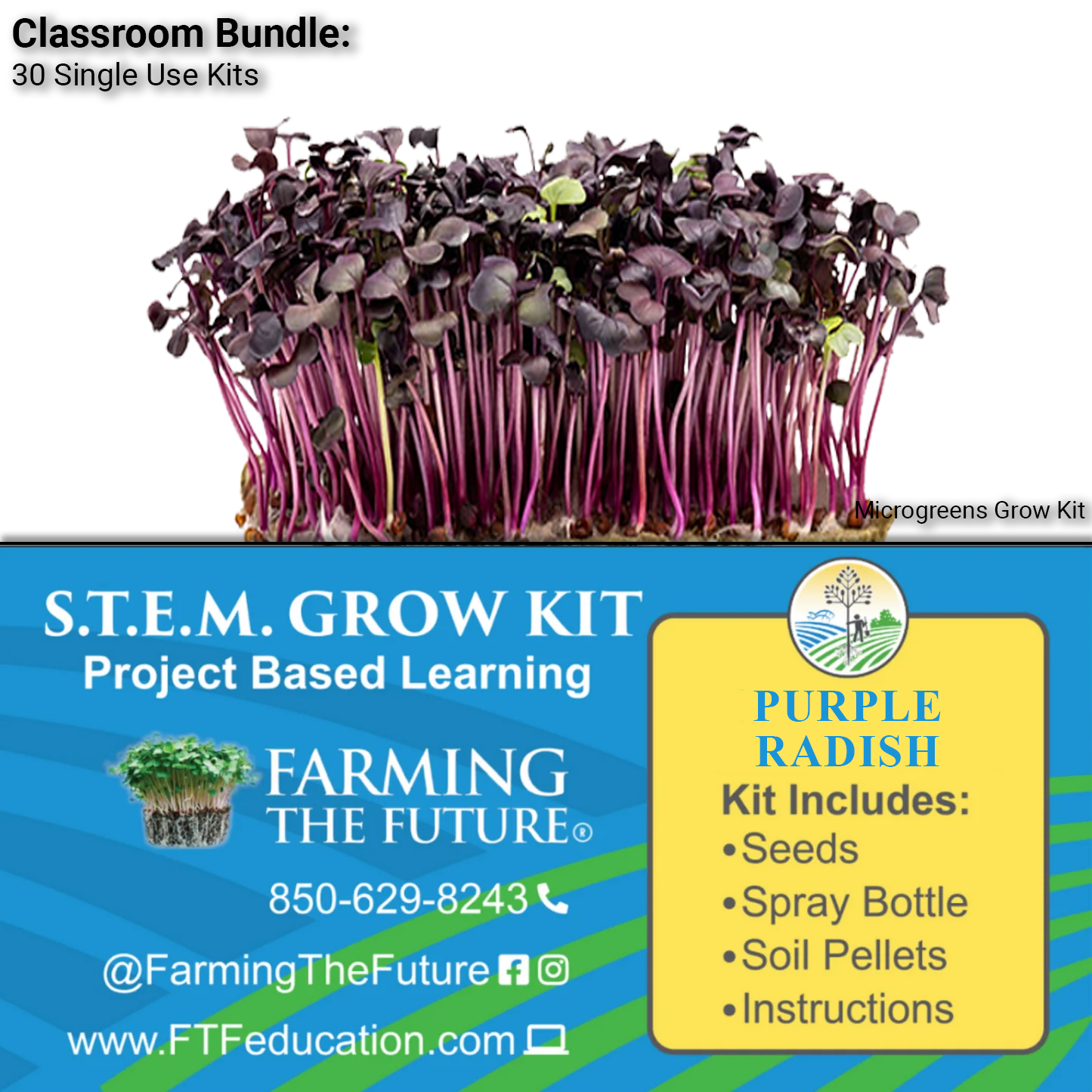 K-12 STEM Student Purple Radish Microgreen Kit - Classroom Bundle