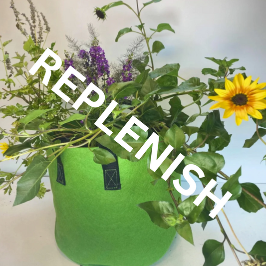 GrowBag Lab REPLENISH w/ LMS Access - Pollinator