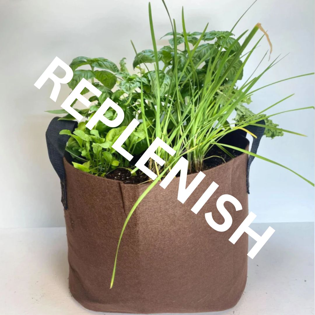 GrowBag Lab REPLENISH w/ LMS Access - Pesto