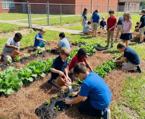 kids in a garden at school