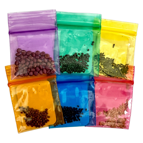 Six translucent plastic seed packets in different colors (purple, green, yellow, orange, blue, pink) arranged in a grid, containing various small seeds and botanical pieces.