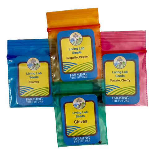 Living Lab Seeds: Salsa Garden Seed Pack — Jalapeño, Cherry Tomato, Cilantro & Chives