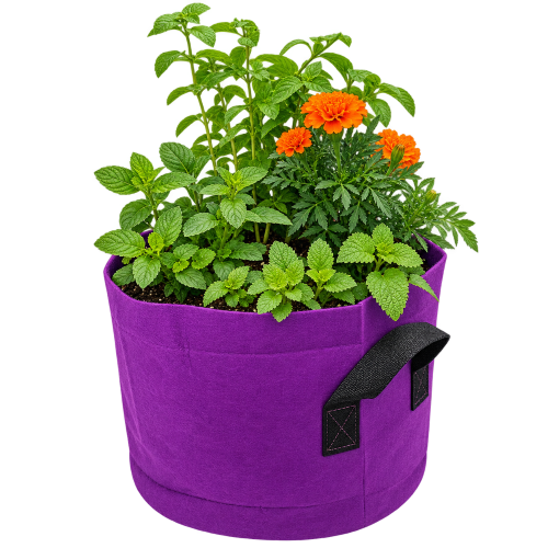 Grow a self contained tea garden with Farming the Future in a fabric grow bag planter which holds a mixed garden of green plants, including lemon balm, Mint,  chamomile  and Calendula.
