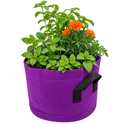 Grow a self contained tea garden with Farming the Future in a fabric grow bag planter which holds a mixed garden of green plants, including lemon balm, Mint,  chamomile  and Calendula.