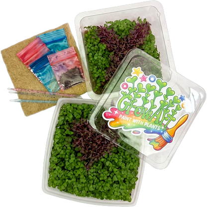 GrowArt™ Grow-Your-Own Art Kit: COMPACT Classroom Bundle (24)