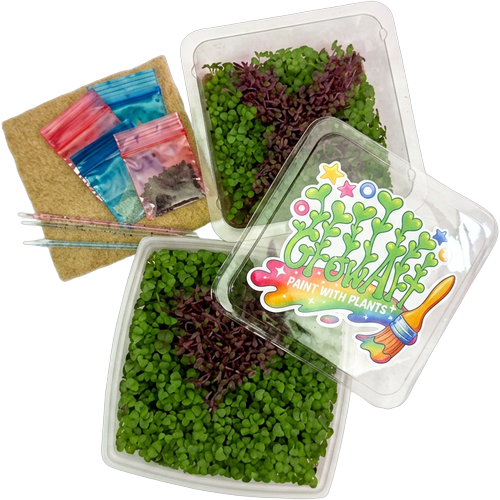GrowArt™ Grow-Your-Own Art Kit: COMPACT Classroom Bundle (24)