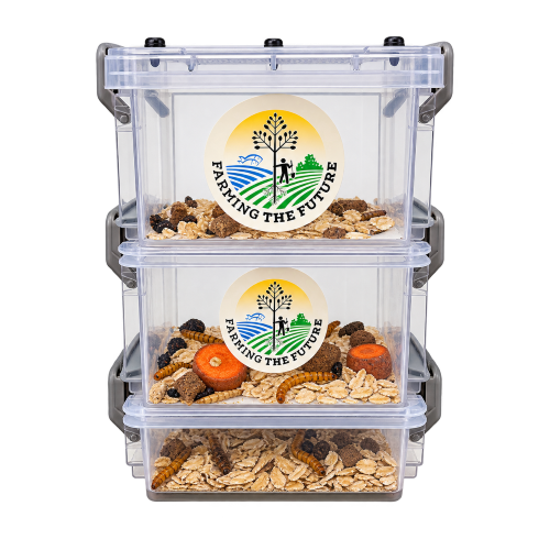 3-Tier Classroom Mealworm Farm — Complete Metamorphosis Life Cycle Kit for Schools