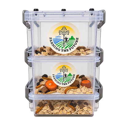 3-Tier Classroom Mealworm Farm — Complete Metamorphosis Life Cycle Kit for Schools