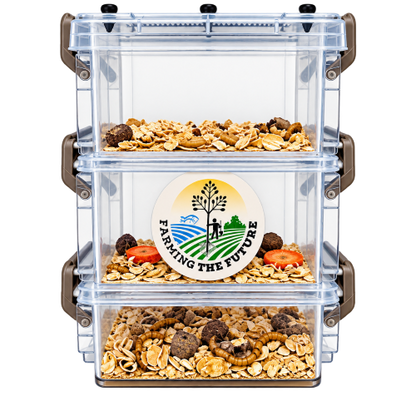 3-Tier Classroom Mealworm Farm — Complete Metamorphosis Life Cycle Kit for Schools