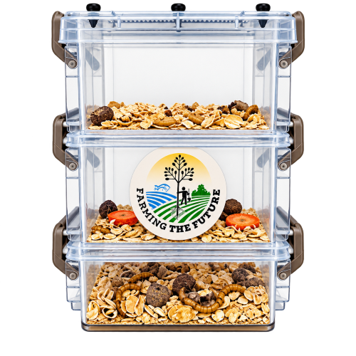 Three stacked clear plastic bins with dark brown latches, filled with mixed food material and meal worms and featuring a round 'Farming the Future' logo sticker in the center.