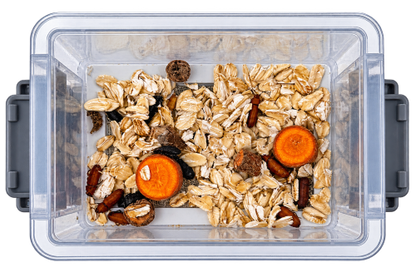 3-Tier Classroom Mealworm Farm — Complete Metamorphosis Life Cycle Kit for Schools