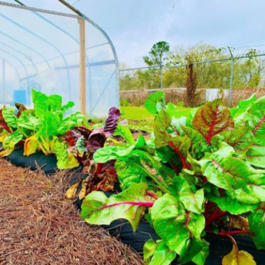 STEM grow kit for K-12 classrooms for hands-on, project-based learning by Farming the Future.