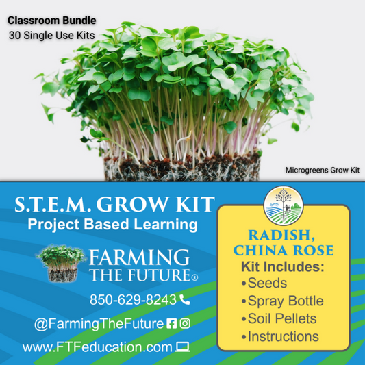 classroom microgreens kit