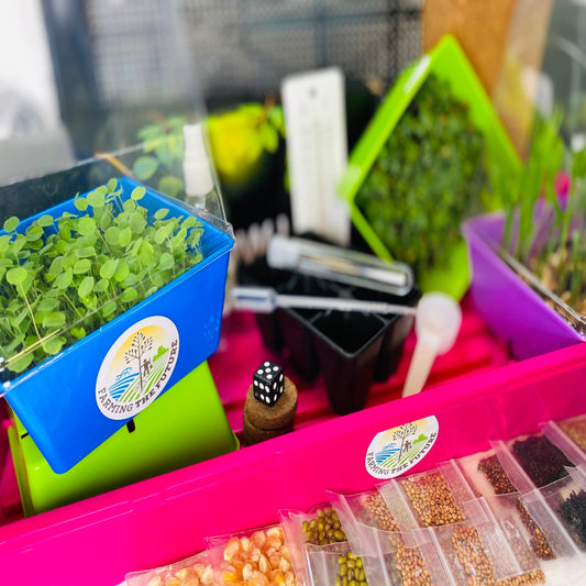 STEM grow kit for K-12 classrooms for hands-on, project-based learning by Farming the Future.